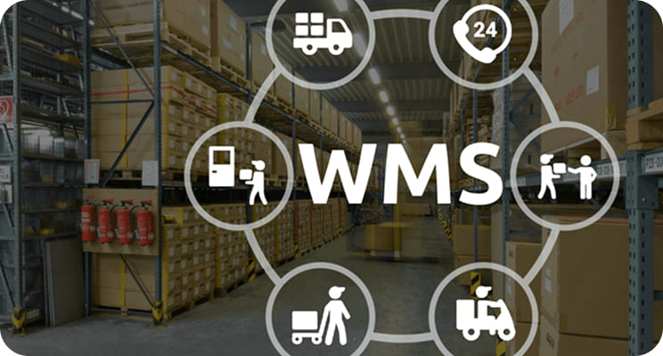 Что такое WMS